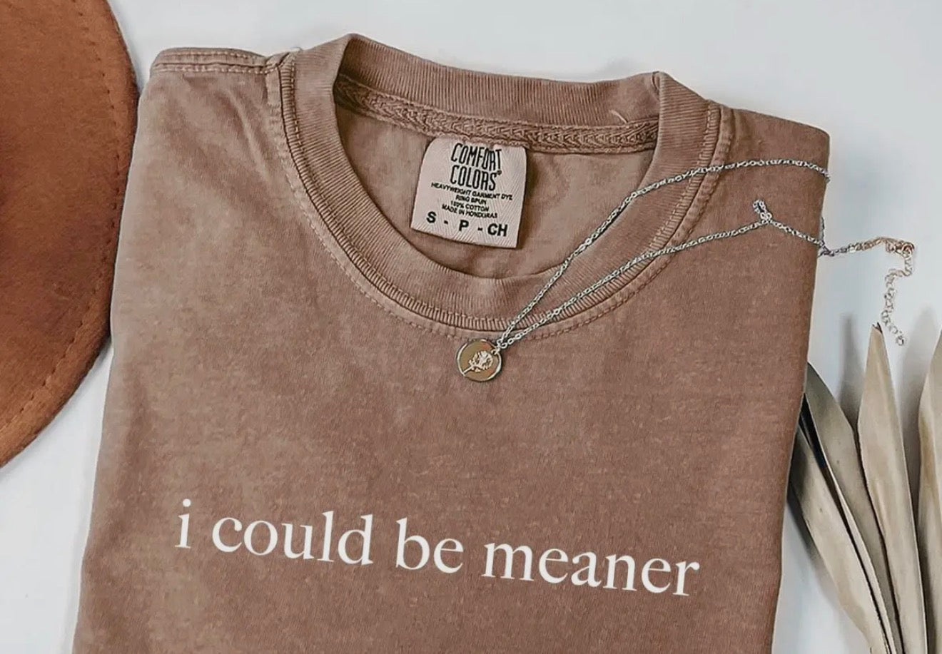 I Could Be Meaner T-Shirt